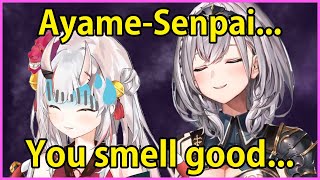 Shirogane Noel - Ayame Senpai... You smell good...