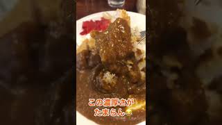 【東京新地図】内神田の路地裏カレー🍛【千代田区】