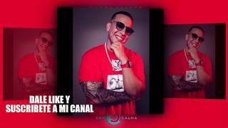 Daddy Yankee & Snow - Con Calma (Foto Video) (HQ-Flac)
