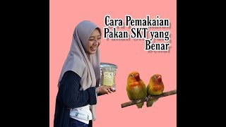 Cara Pakai Pakan SkT Agar cepat Gacor