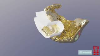 3D scans will uncover the secrets of Iron Age gold treasure