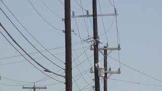 CPS Energy, ERCOT say they're prepared for wintry weather