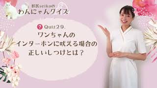 犬の無駄吠えをやめさせたい！インターホンに吠える場合やるべきしつけ