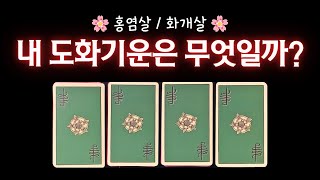 [타로] 내 도화살의 기운은 무엇일까? 🌸 홍염살과 화개살 ❤진짜 치명적인 내 매력 🔥 새해 복 많이 받으세요🫶🏻