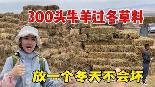 【驰娜尔】103 草料堆成山不会坏吗？牧区丰收1000多捆草，看看他们是咋储存的