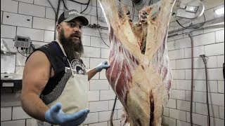 How to Skin a Beef Cow and Remove the Hide | The Bearded Butchers