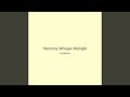 Harmony Whisper Midnight