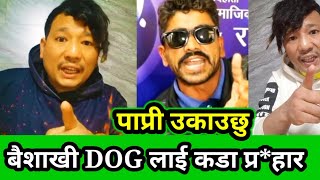 DORZ JOJO reply to बैशाखी DOG