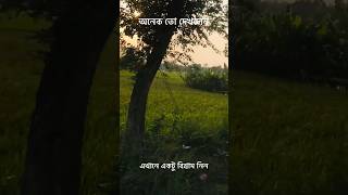 অনেক খানি গুরলেন এখানে একটু বিশ্রাম নিন Rest here