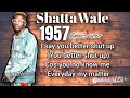 Shatta wale 1957 (lyrics video)