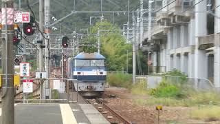 JR貨物 EF210-109号機（吹田）＋コキ26両　貨物列車1054レ 2023.10.14