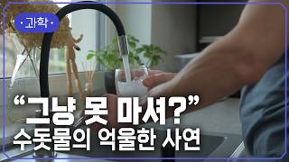 [EBS] 깨끗한 지구를 위한 선택, 수돗물 마시기? | #지식채널e