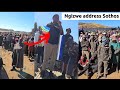 Ngizwe apologize to Sothos ask for March against Illegal foreigners in Soweto 
