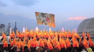 大阪大学お祭りダンスサークル祭楽人　神戸よさこいまつり2015 / KOBE YOSAKOI FESTIVAL 2015