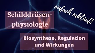 Schilddrüse und Schilddrüsenhormone - Biosynthese, Regulation und Wirkungsmechanismus | Physiologie