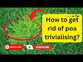 How To Get Rid Of Poa Trivialis-  Apply Effective Methods & Get Desired Results