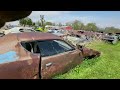 short walk in the mopar city junkyard