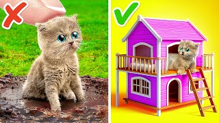 I Build a Miniature House for a Stray Cat! 🐱 Awesome Hacks for Pet Owners