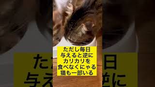 猫にカリカリではなくウェットフードを与え続けても大丈夫？#shorts