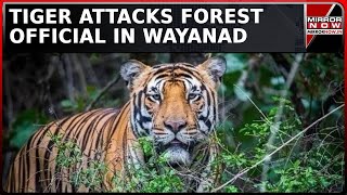 Man-Eating Tiger Attacks Forest Official In Wayanad | Locals Demand 'Tiger Should Be Killed'