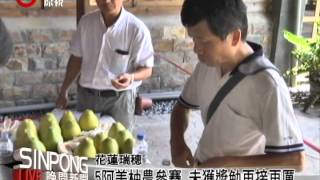 瑞穗文旦柚評鑑 品質歷屆之最 20130912