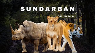 SUNDARBAN TOUR | 2 NIGHTS 3 DAYS PACKAGE | FULL PACKAGE INFORMATION | FOOD REVIEW |