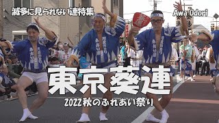 楽しい阿波踊り「東京葵連 」清瀬南口 2022秋のふれあい祭り（2022.10.30）