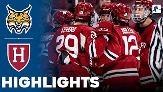 Quinnipiac vs Harvard | NCAA College Hockey | Highlights - November 09, 2024