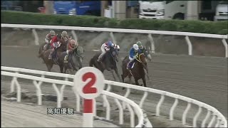 2022 6/12 高知競馬 7R 第50回 高知優駿(黒潮ダービー) 勝ち馬 ガルボマンボ