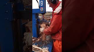 20230509 Splitting firewood gnarly birch with Jim