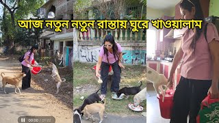 রাস্তার বাচ্চাদের আজকের খাবার স্পনসর করলেন প্রিয়াঙ্কা রায় ❤️🙏🌿 #streetdog #streetfighter #youtube