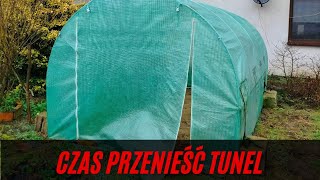 Czy wymieniać ziemię w tunelu? czy przenosić tunel w nowe miejsce? jak zapobiec chorobom pomidorów?