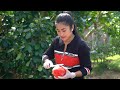 cooking with sreypov yummy watermelon cook with pork my country style cooking