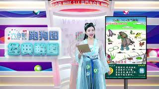 第334期 --【澳门跑狗图】潘金莲来给你解图啦！别错过哦！🔥 🔥