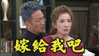 【炮仔聲】EP393 Rose慘遭污辱心已死... 錢進趁機求愛\