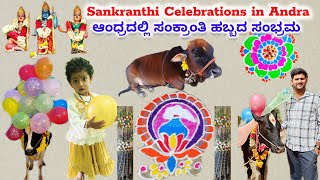 Sankranti Festival vibes In Andra ಆಂಧ್ರದಲ್ಲಿ ಸಂಕ್ರಾಂತಿ ಸಂಭ್ರಮ (Y Kottur) Sankrantiki Vastunnam😍✌️ ☺️