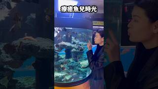 跟魚兒好好玩🐟你們有養水族魚類嗎？#台灣#水族#魚#水族館