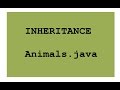 Java: Inheritance explained with Animals.java