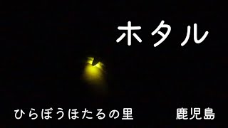 【ひらぼうほたるの里】蛍の乱舞が見たいんです！田んぼでの散策に3歳娘大興奮！　鹿児島| かごっまふぁみりーかごっまふぁみりー