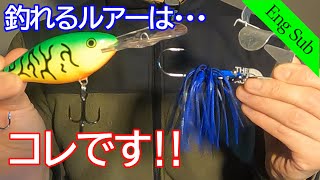 【Overseas】Must-Use Lures For Giant Snakehead🎣‼️【Thailand】【Chado】【Lure】