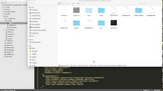 FireAdmin Step 12 Appereances new template Firebase admin console