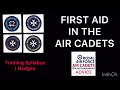 first aid in the air cadets training syllabus badges air cadet advice