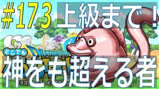 ［実況］【どこでもモンパレ】#173 「激闘！神をも超える者」開催！【中級】＆【上級】に挑戦！