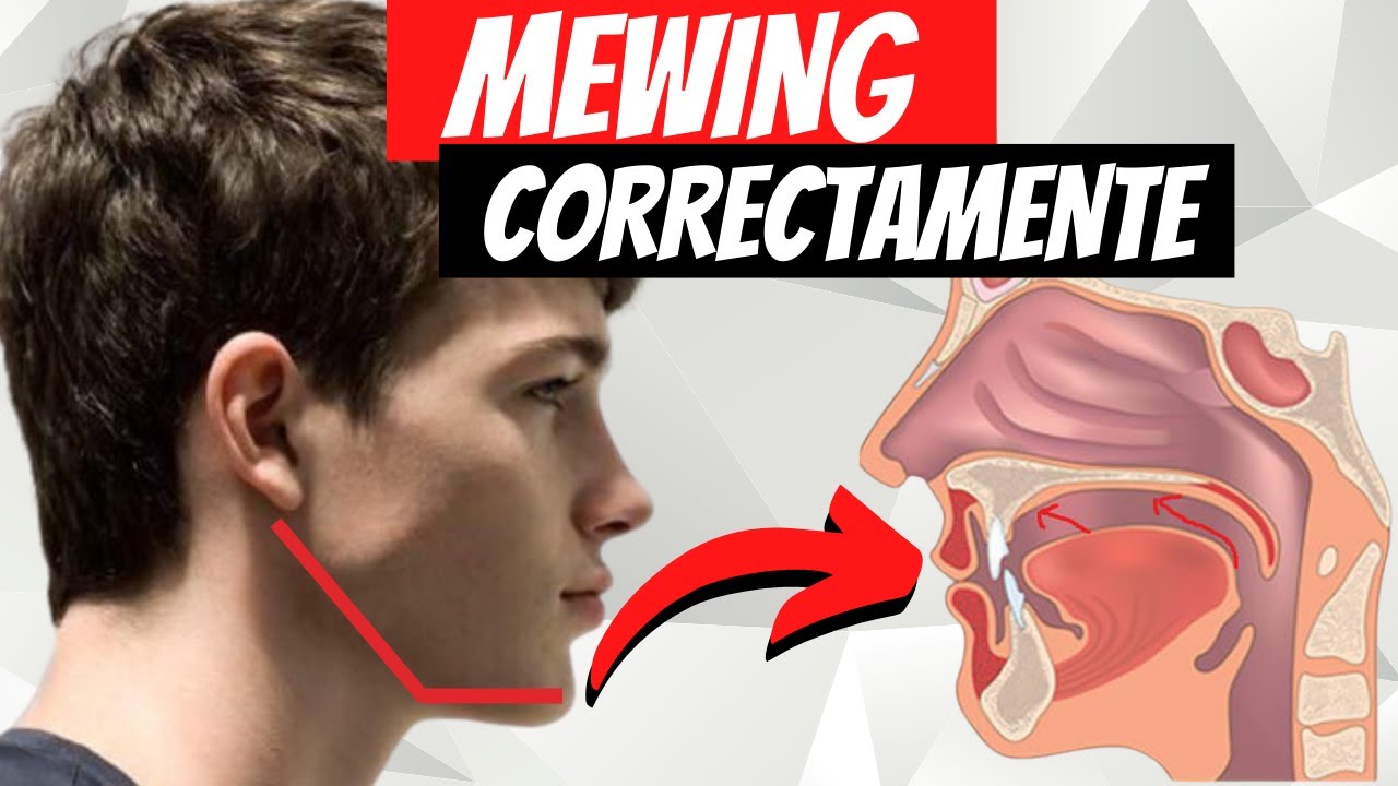 The Dangers Of Mewing Jawline Exercises 51 Off
