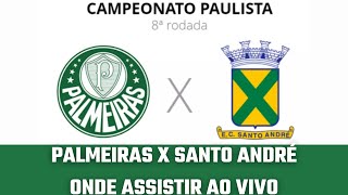 Palmeiras e Santo André | Campeonato Paulista - Onde Assistir ao Vivo, Horário e Infos #palmeiras