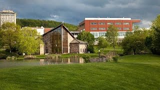 Do Not Go To Ithaca College Before you Watch this video| IC Review