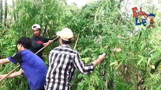 People Catch snake in the forest by using boat / Cambodia traditional catch snake for food