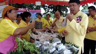 สำนักงานเกษตรอำเภอแจ้ห่มตอนนายอำเภอชมนิทรรศการ2