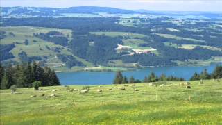 Der Bayerischer Heimatabend - Tippelbrüder und der alpbach marsch -Echte Volksmusik aus Bayern