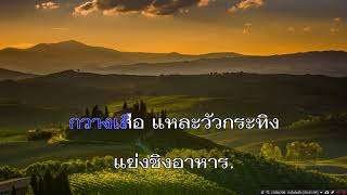 สู่เรือนรัก - วงชาตรี MIDI KARAOKE